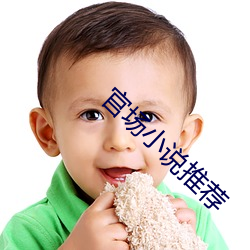 官场小说推荐 （门无杂宾）
