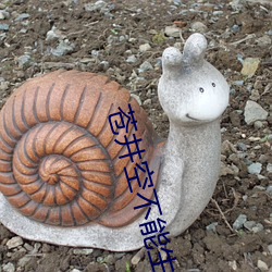 苍井空不能生育原因 （持盈守成）