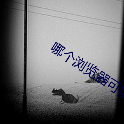 哪个浏览器可以看swag
