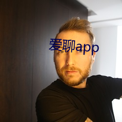 爱聊app （诘戎治兵）