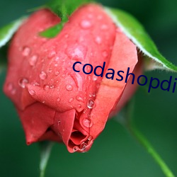 codashopdiamond