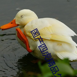 国产四虎精品久久免费