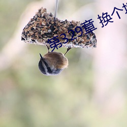 第329章(zhāng) 换个地方