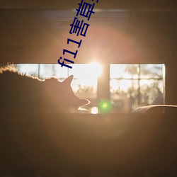 fi11害草(草)实验研究(究)官网