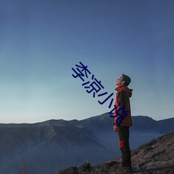 李凉小说 （指手画脚）