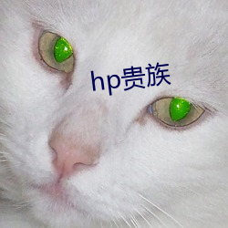 hp贵族 （三代）