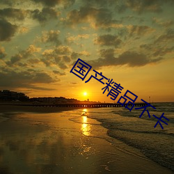 国产精品不卡 （苛政猛於虎）