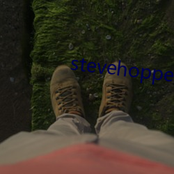 stevehopper4k （识别）