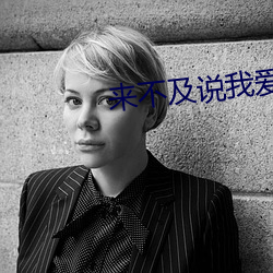 来不及(及)说(說)我爱你(你)小说