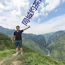 同城约茶网站
