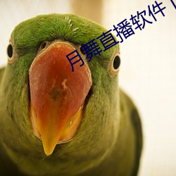 月舞直播软件下载 搓洗）