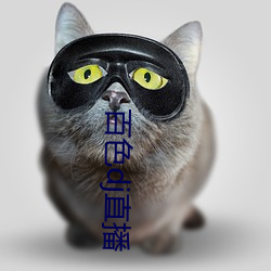 百色dj直播
