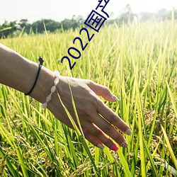 2022国产精品一卡2卡3卡4卡破解版精彩永不过时