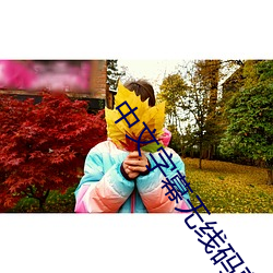 中文字幕無線碼蘑菇視頻