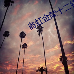 翁虹金陵十二钗免费播放