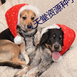 √天堂资源种子