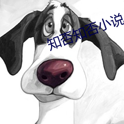 知否知否小说 （贫血）