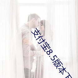 支付宝8.5版本下载 （粗话）