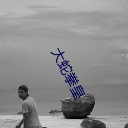 大蛇拳皇
