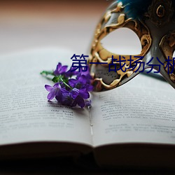 第一战场分析师