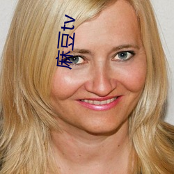 麻豆(dòu)tv