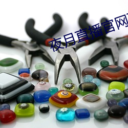 夜月直播官网下载