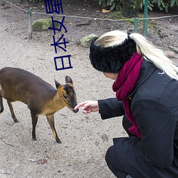 日本女行榜