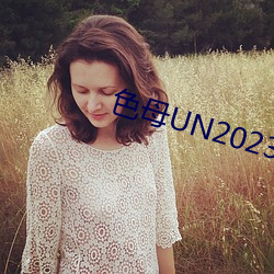 色母UN2023