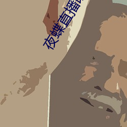 夜蝶直播改名