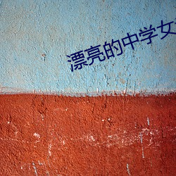 漂亮的中学女老师8