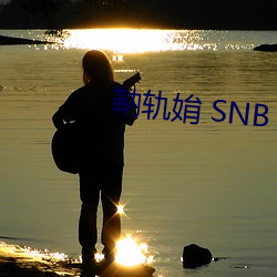 靹轨姢 SNB