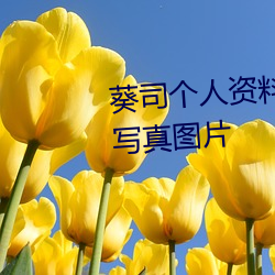 葵司个人资料 葵司作品番号 葵司写真图片