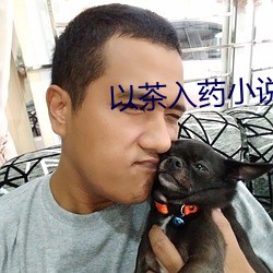 以茶入药小(xiǎo)说