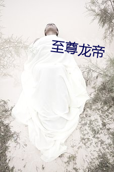 至尊龙帝 （神飞气扬）