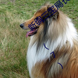 新编三宝局(jú)长 章节目录 第一部:女军官萧燕(yàn) (7)