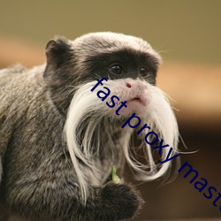 fast proxy master