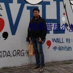 格(gé)莱(lái)普尼(ní)尔漫画