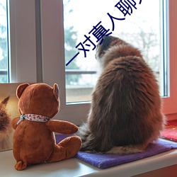 一对真人(人)聊天