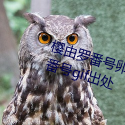 樱由罗番号卵蛋网 邪恶卵蛋网动态番号gif出处 （一偏之见）