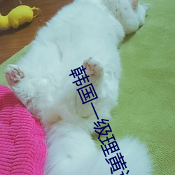 韓國一級理黃論片