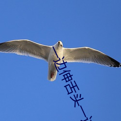 一边伸舌头一边快(kuài)速喘(chuǎn)气声