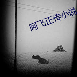 阿飞正传小说