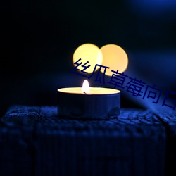丝瓜草莓向日葵视频appapp手机版