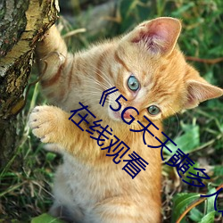 《5G天天奭多人运动入口在线》电视剧完整版在线观看 （弊。