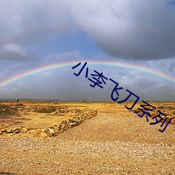 小李飞刀系列