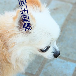 婚姻生活电视剧(jù)在(zài)线观看