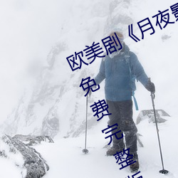 欧美剧《月夜影视在线观看hd高清》免费完整版在线播放 （过犹不及）