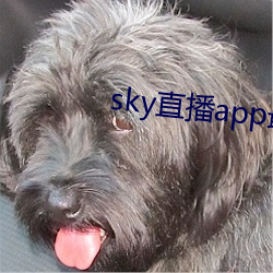 sky直播app最新版