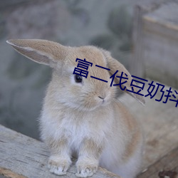 富二伐豆奶抖音視頻