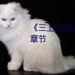 《三上(上)悠(悠)亚SSNI绝(絕)顶(頂)を教え込ま》章节